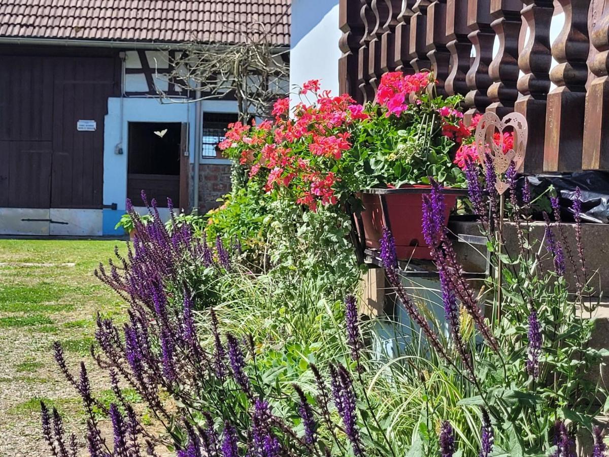Cosy Holiday Home In Schleithal With Garden Luaran gambar