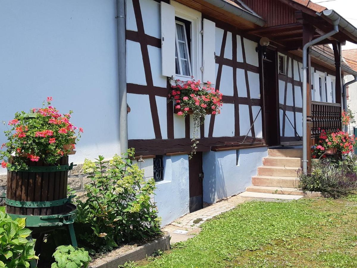 Cosy Holiday Home In Schleithal With Garden Luaran gambar