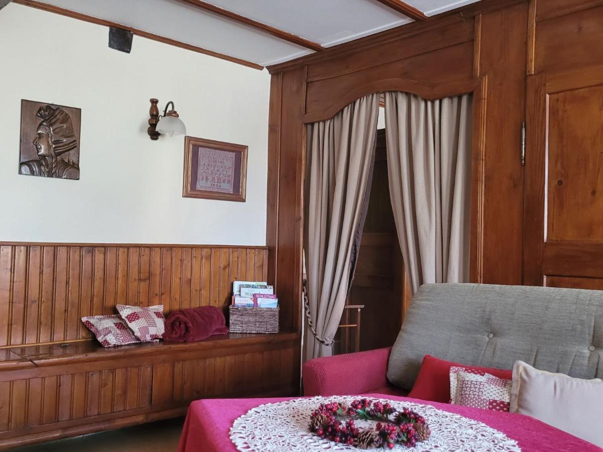 Cosy Holiday Home In Schleithal With Garden Luaran gambar