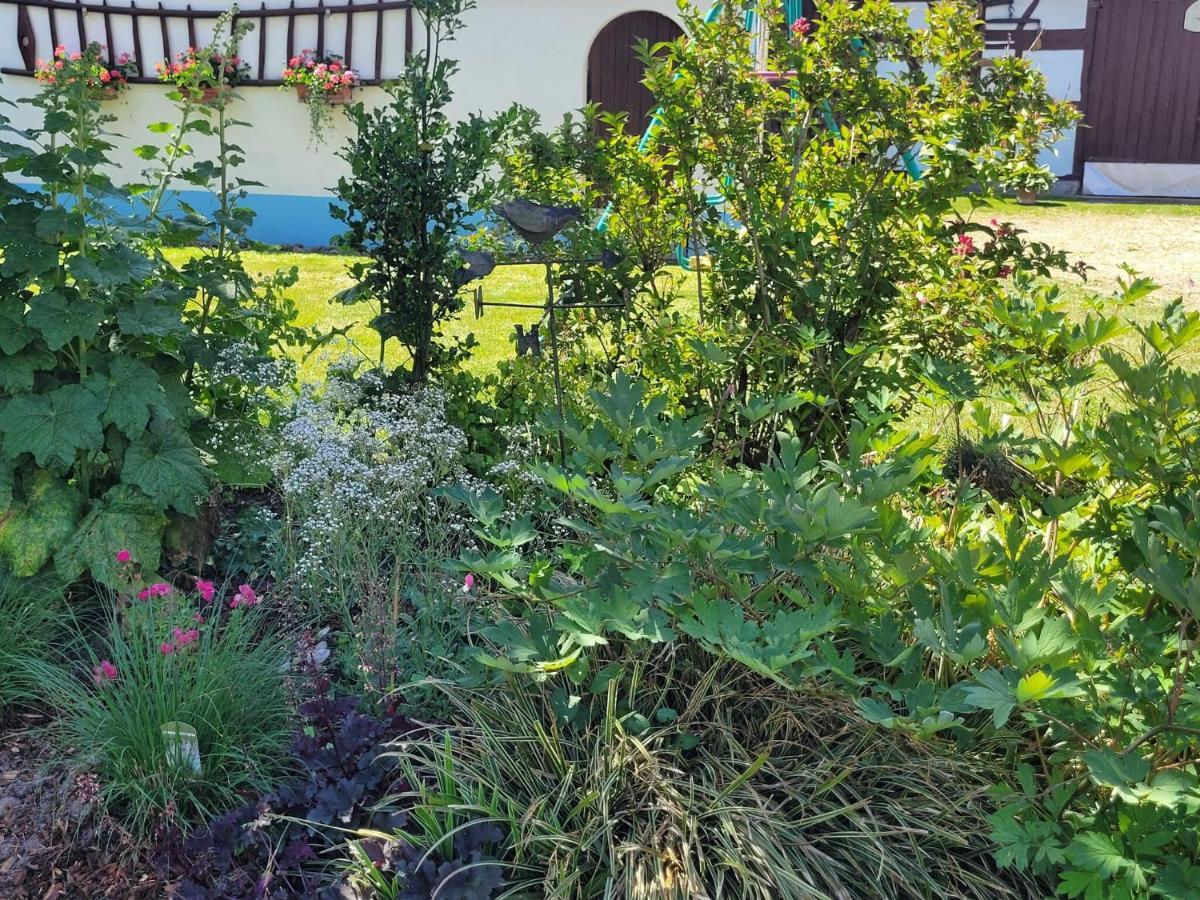 Cosy Holiday Home In Schleithal With Garden Luaran gambar