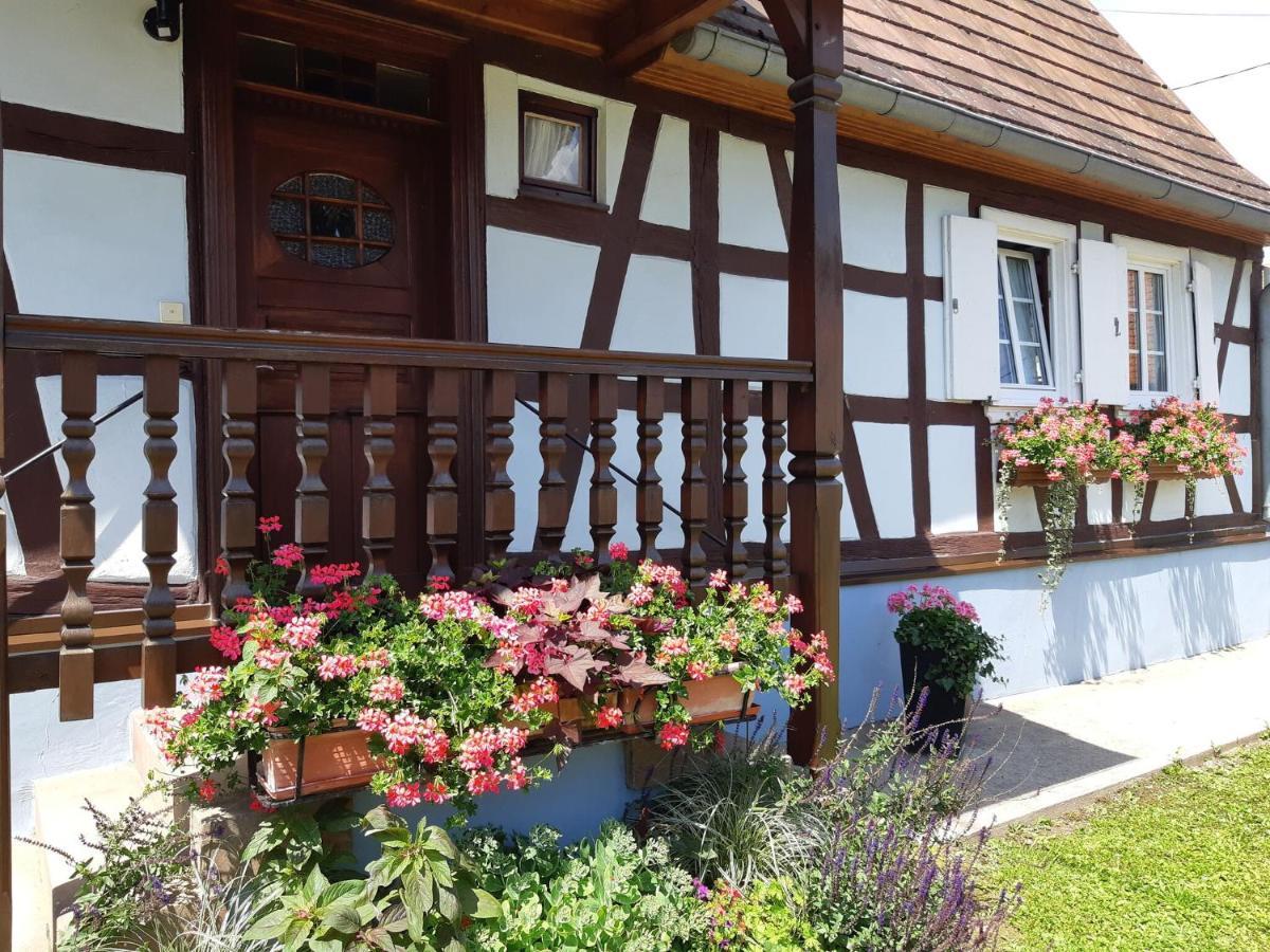 Cosy Holiday Home In Schleithal With Garden Luaran gambar