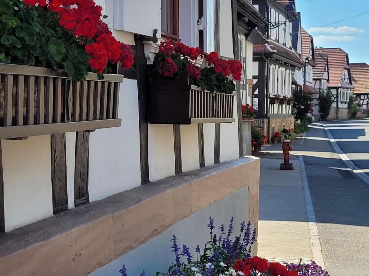 Cosy Holiday Home In Schleithal With Garden Luaran gambar